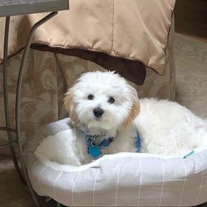 Meet your Posher, Natalie